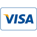 Visa payment icon